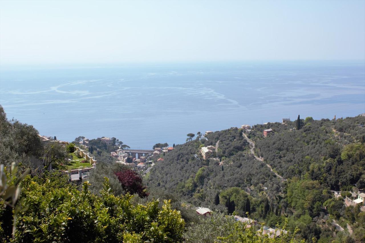 Azalea Villa Recco Exterior photo