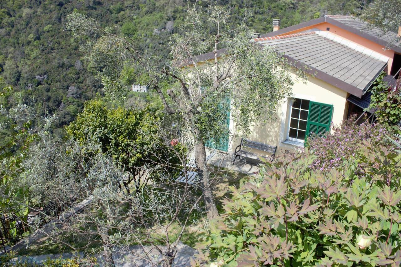 Azalea Villa Recco Exterior photo